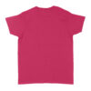 Heliconia Pink
