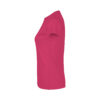 Heliconia Pink