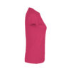 Heliconia Pink